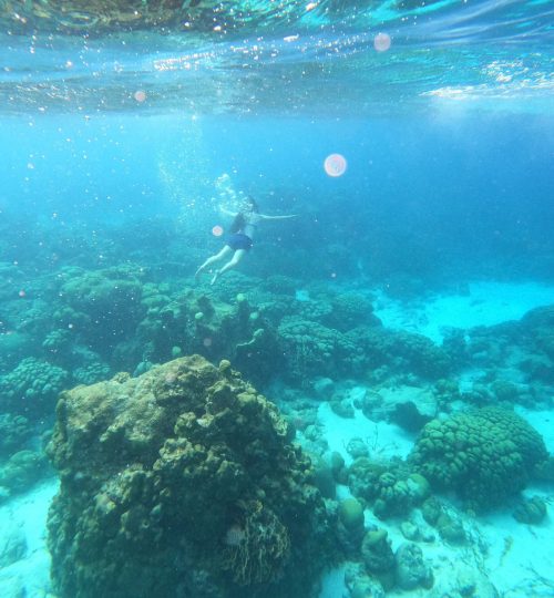 Snorkeling-min