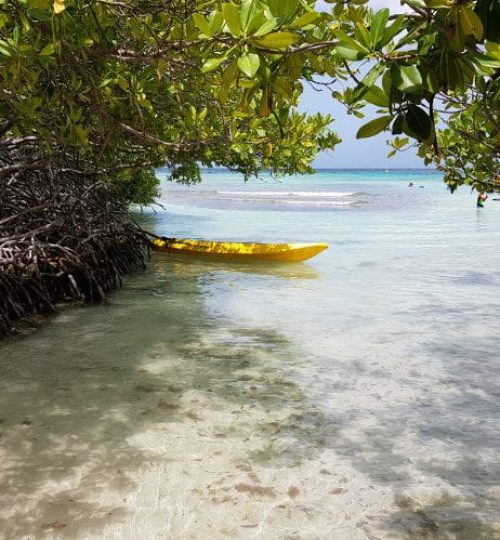 kayaking2-min