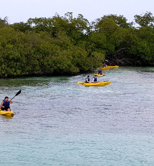 kayaking3-min